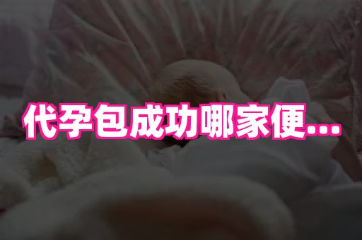 点点助孕网 1