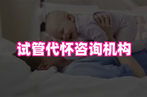 点点助孕网 2