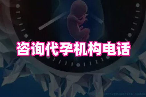 点点助孕网 3