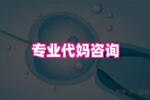 点点助孕网 4